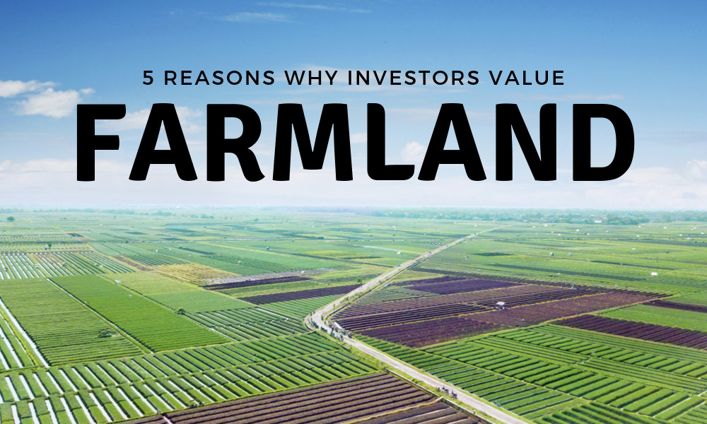 5 Reasons Why Investors Value Farmland