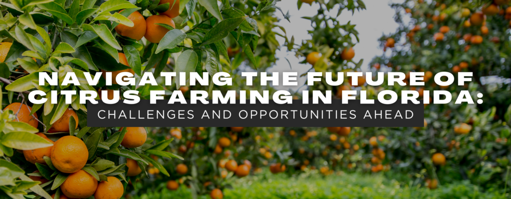 Navigating The Future of Citrus Farming in Florida